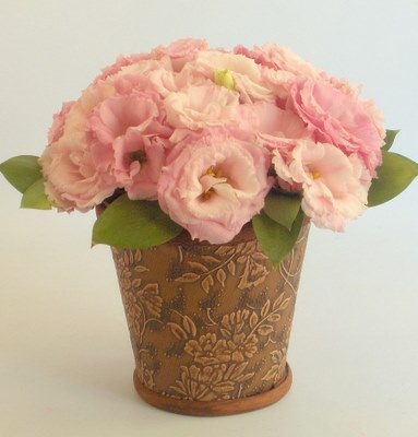 YTB401	Eustoma in leather pot