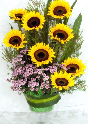 YTB412	Sunflower Appreciation